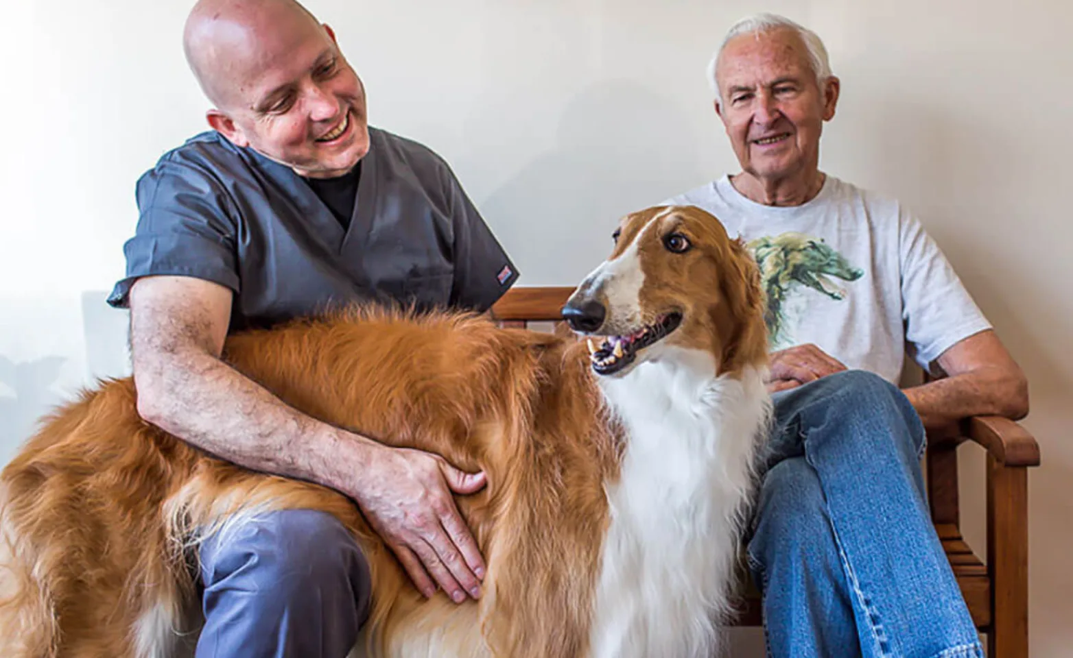 Veterinarian sitting on a bench with a customer petting a tall tan and white dog